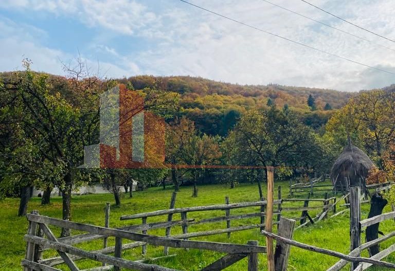 Casa + teren 1700 mp langa Padure Bran/ Predelut - Poză 15