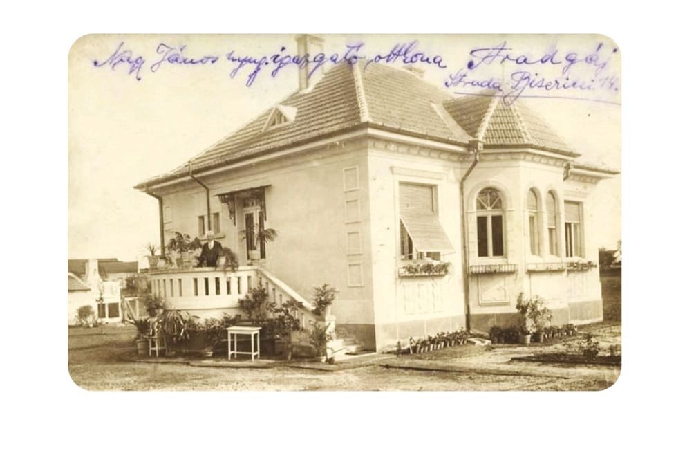 Vilă istorică în Arad. - Poză 4