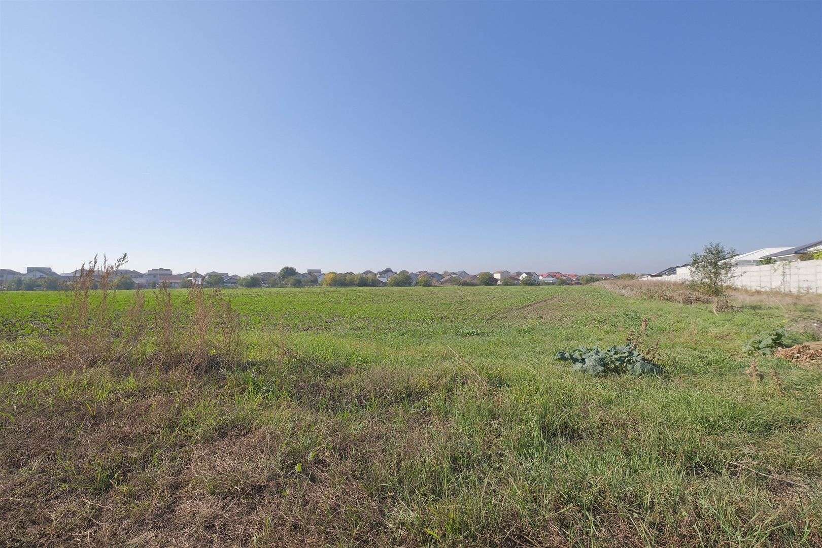 TUNARI - Cartierul Tineretului, 8.200 mp. teren ideal investitie - Poză 3