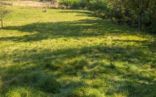 Teren | Intravilan | 2439 MPU | Fântânele - Poză 3