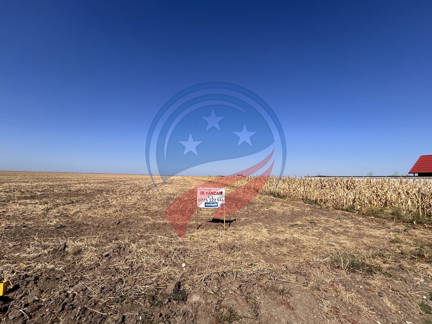 Teren intravilan 5087 mp de vânzare – Pielești - Poză 9