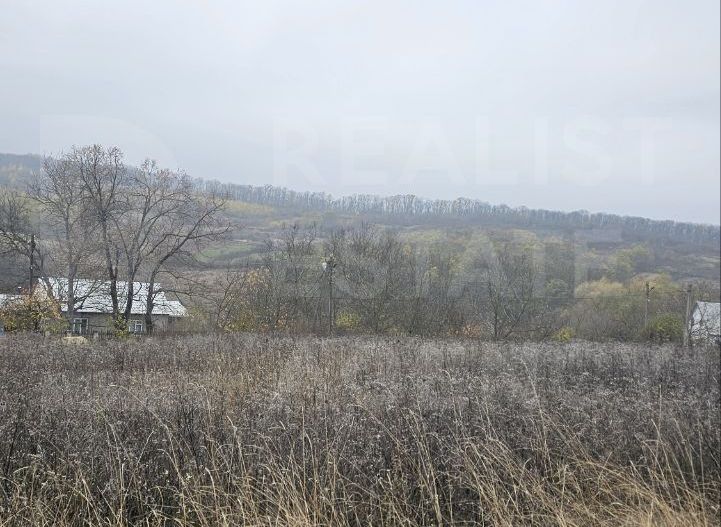 Vânzare, teren pentru construcții,16 ari, str. Padurii, Ivancea - Poză 6