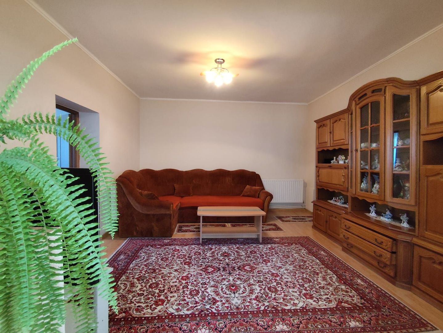 Casa la tara - teren 2826 mp, acces auto, in Sacadat, Bihor - Poză 4