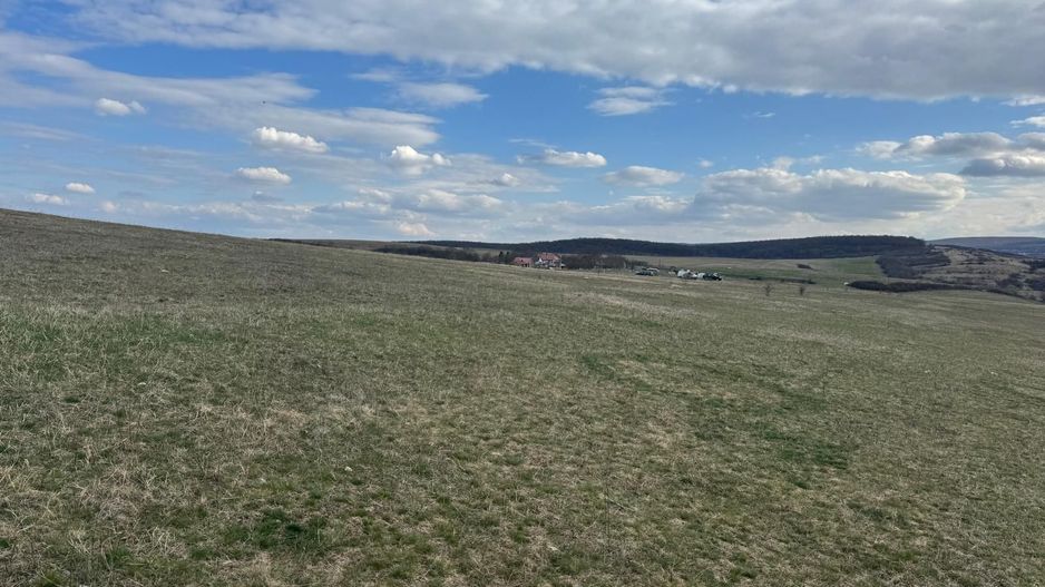 Teren intravilan in zona Tufele Rosii | Colonia Bundus | 2.990 mp - Poză 2