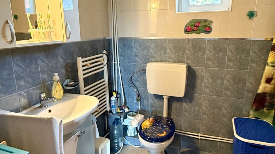 CASA INDIVIDUALA - Poză 13