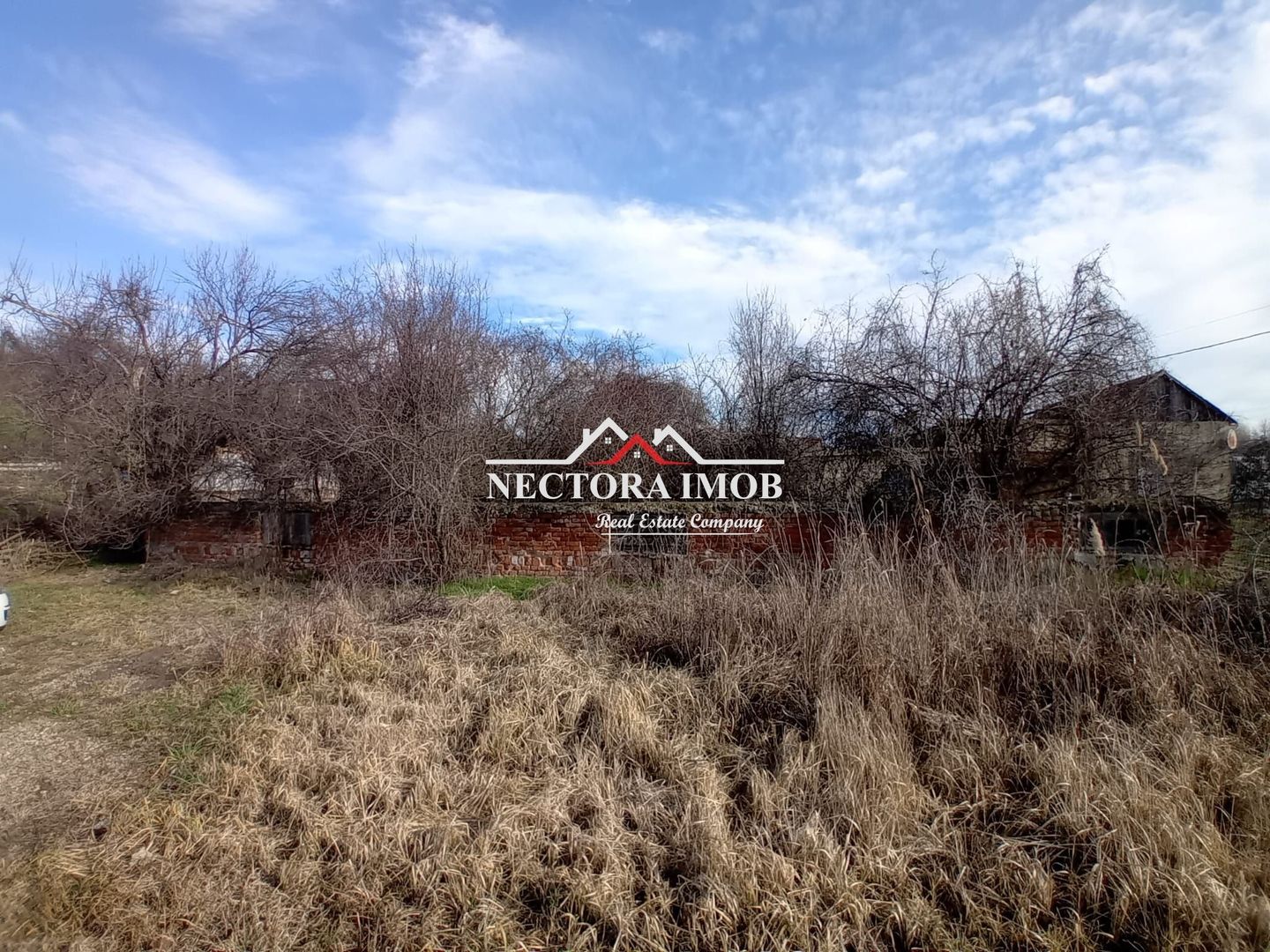 NECTORA IMOB-Teren Intravilan Zona Facliei, Teren Plat,460 mp,F:29 ml - Poză 2
