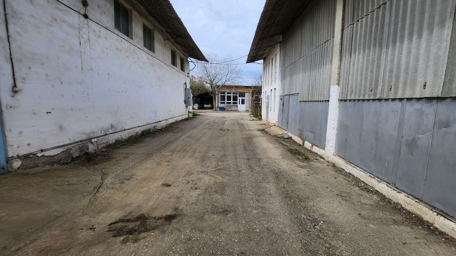 Spații industriale și comerciale zona Freidorf - Poză 12