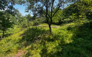 TEREN INTRAVILAN 2146 MP, ALBESTII DE MUSCEL, ARGES - Poză 14