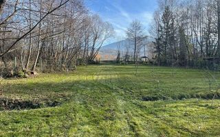 Teren 3349 mp de Vânzare | Bran – Panoramă Munții Bucegi - Poză 10