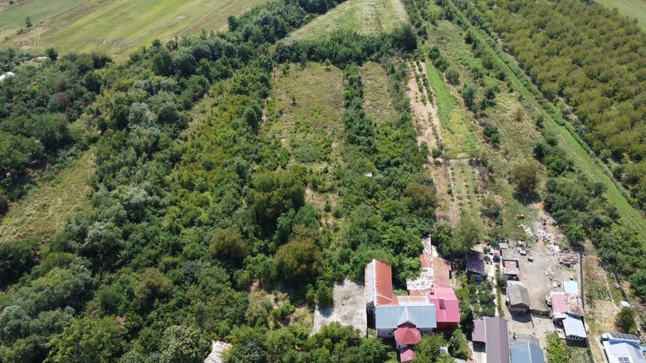 Teren 7808mp Bolovani - comuna Cornățelu (COMISON ZERO) - Poză 6