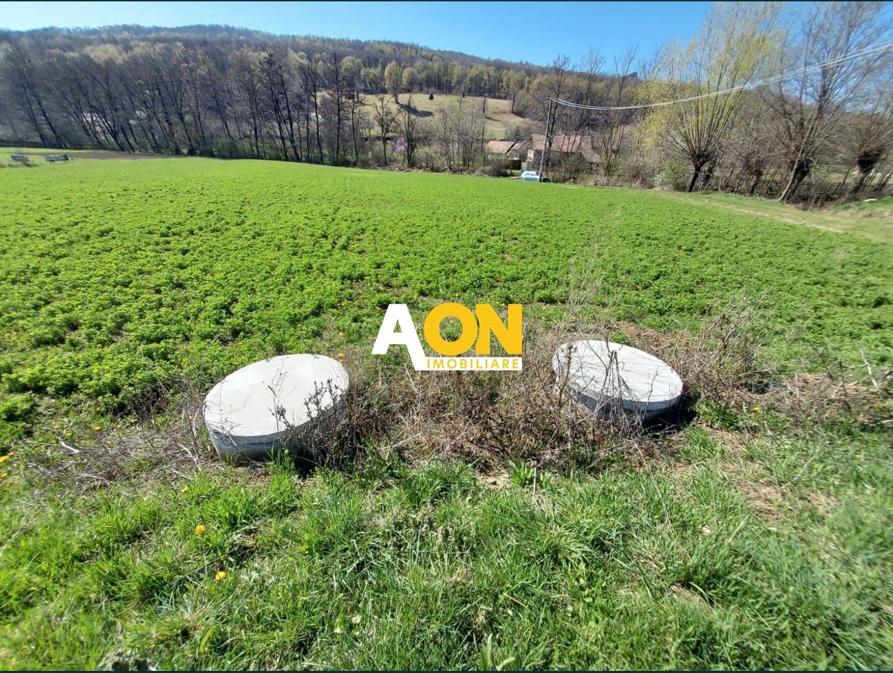 Teren de vanzare, Ampoita, 2300mp - Poză 2