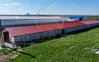 Tariverde - Ferma zootehnica functionala, 3 hectare teren intravilan! - Poză 11