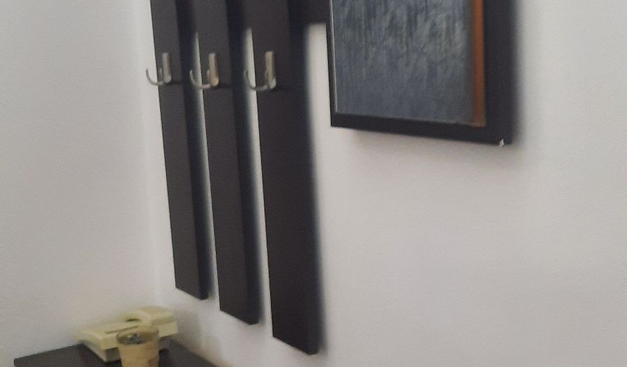 Apartament 2 camere- Craiovita Noua, Scoala 33 - Poză 6