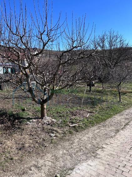 Casă modernă, spațioasă, gata de mutat,6400 mp teren, terase și garaj 399.000 € - Poză 14