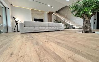 Vilă de vânzare Corbeanca Bucuresti