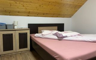 Casă de vacanță în Râu Sadului - Poză 12