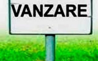 Teren extravilan | Industrial Vest | Investitie | Acces direct - Poză 2