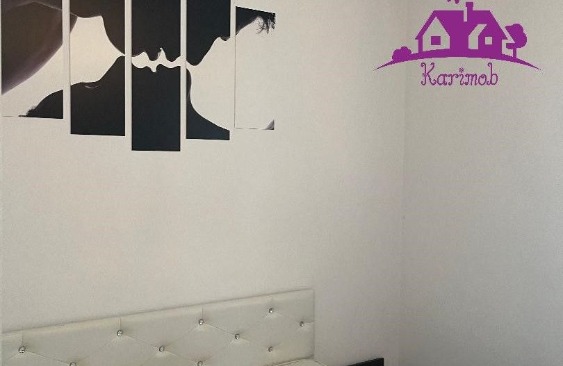 Apartament de inchiriat pe b-dul Dacia - Poză 5