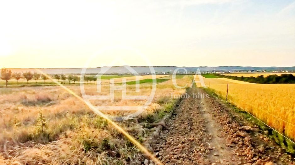 Teren intravilan de vanzare in Alparea, Bihor - Poză 1