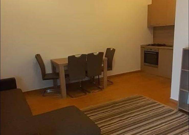 Apartament 2 camere bloc nou cu loc de parcare DUMBRAVITA - Poză 3