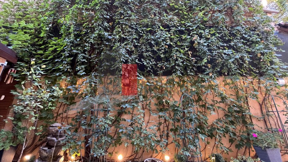 Vila "RIFINITA", Unirii-Piata Alba Iulia, intri si te indragostesti pe loc de ea - Poză 4