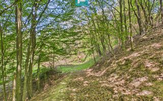 Proprietate rară cu 24.270 mp, în Măgulicea, Arad! - Poză 30