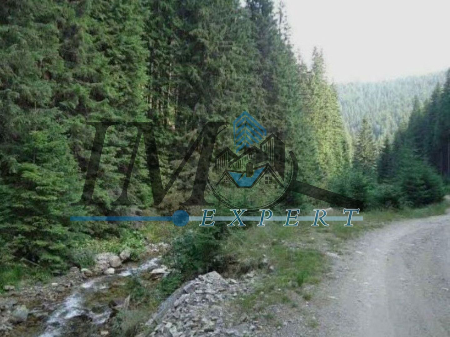 Teren de vânzarepadure  in Cugir 10.644mp - Poză 2