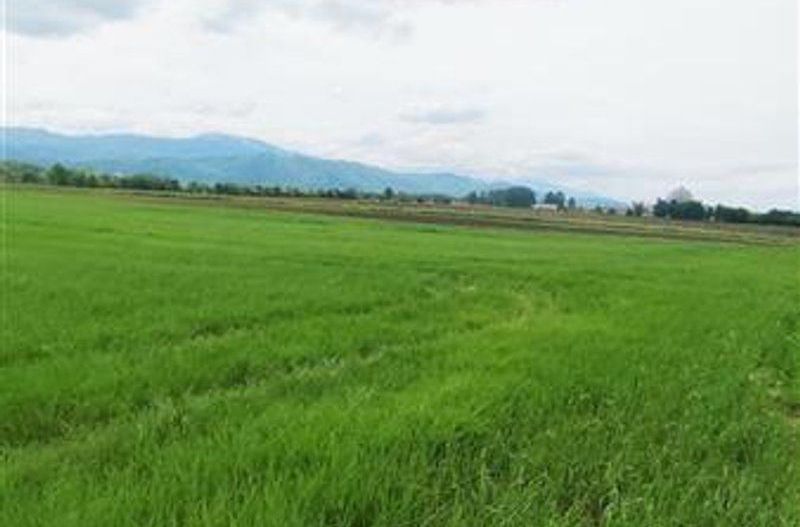 teren intravilan Stupini-Albinelor - Poză 10