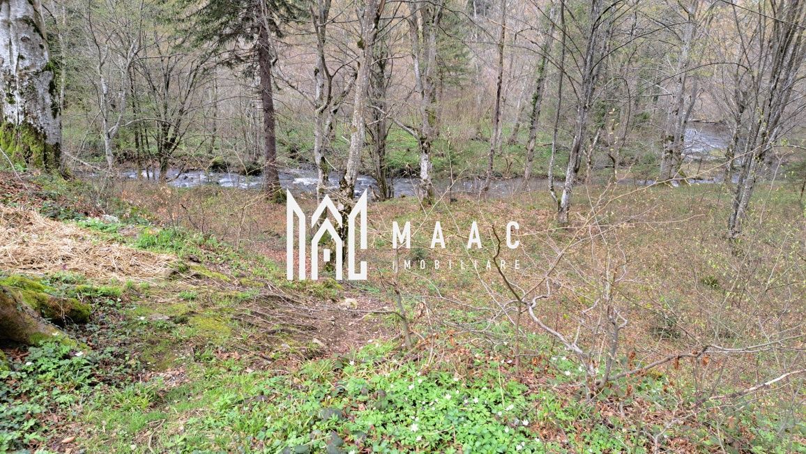 Teren Intravilan |2000Mp| Valea Avrigului - Poză 6