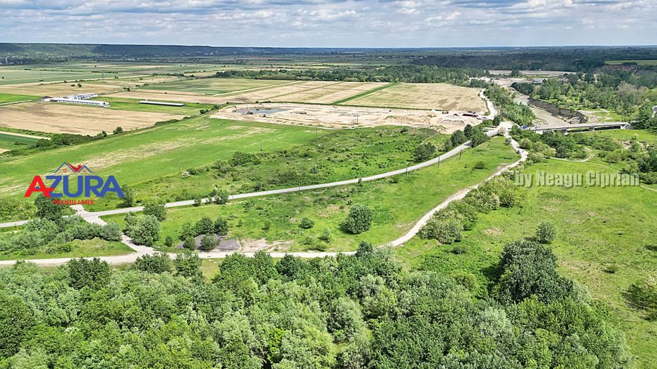 AZURA Imobiliare - Teren Topoloveni Bamesa Autostrada - Poză 6
