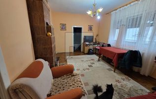 Vanzare Vila P+1 Doamna Ghica