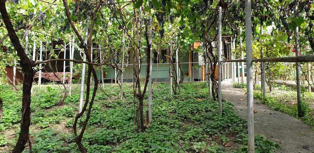 teren de vanzare 807 mp - Poză 4