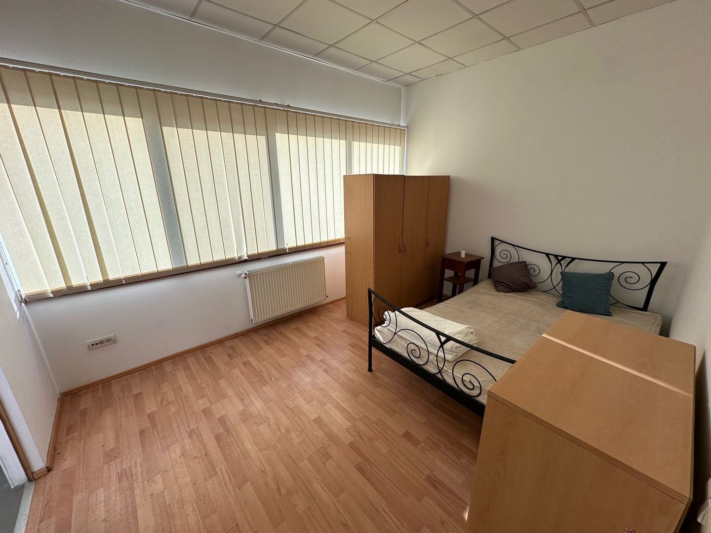 Spatiu productie/ depozitare  zona Sagului - Poză 11