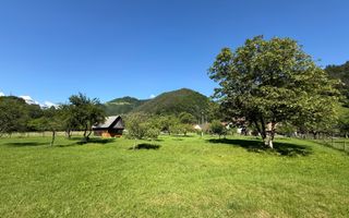 Teren Intravilan | 3050 Mp | Ieșire la Râu | Râul Sadului - Poză 6