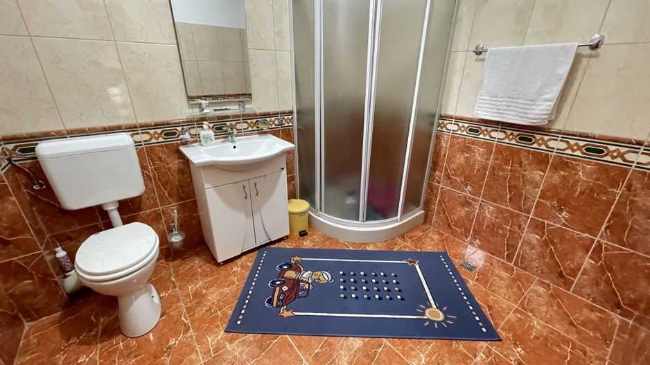 Casă individuală de vânzare în zona Blascovici-Bogdanestilor - Poză 17