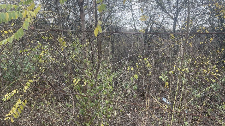 Teren in suprafata de 2165 mp cu front de 30 ml - Poză 2