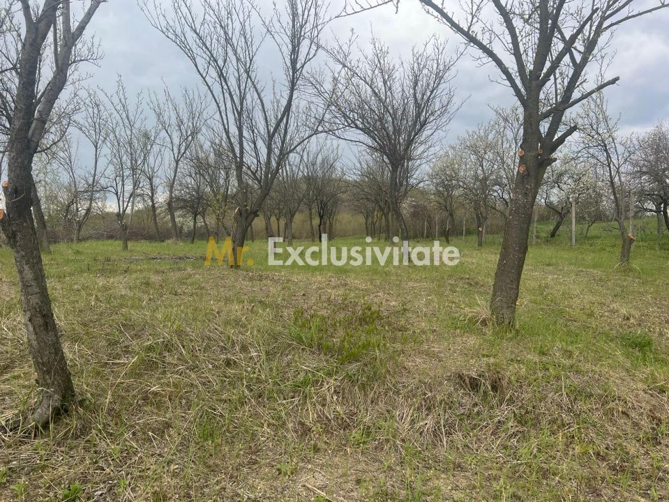 Teren intravilan 2.200 mp cu constructie existenta –Calinesti- Vranesti-Arges! - Poză 2