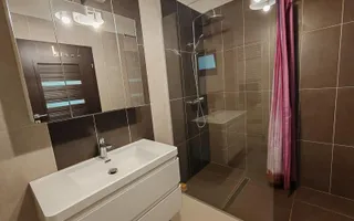 Casa 3 Camere, 179 mp Construiti, Teren 784 mp, Zona Cetate - Poză 13