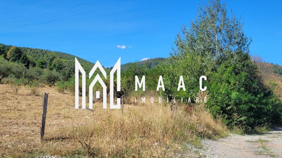 TEREN 5000 MP I SĂLIȘTE I PARCELABIL - Poză 9