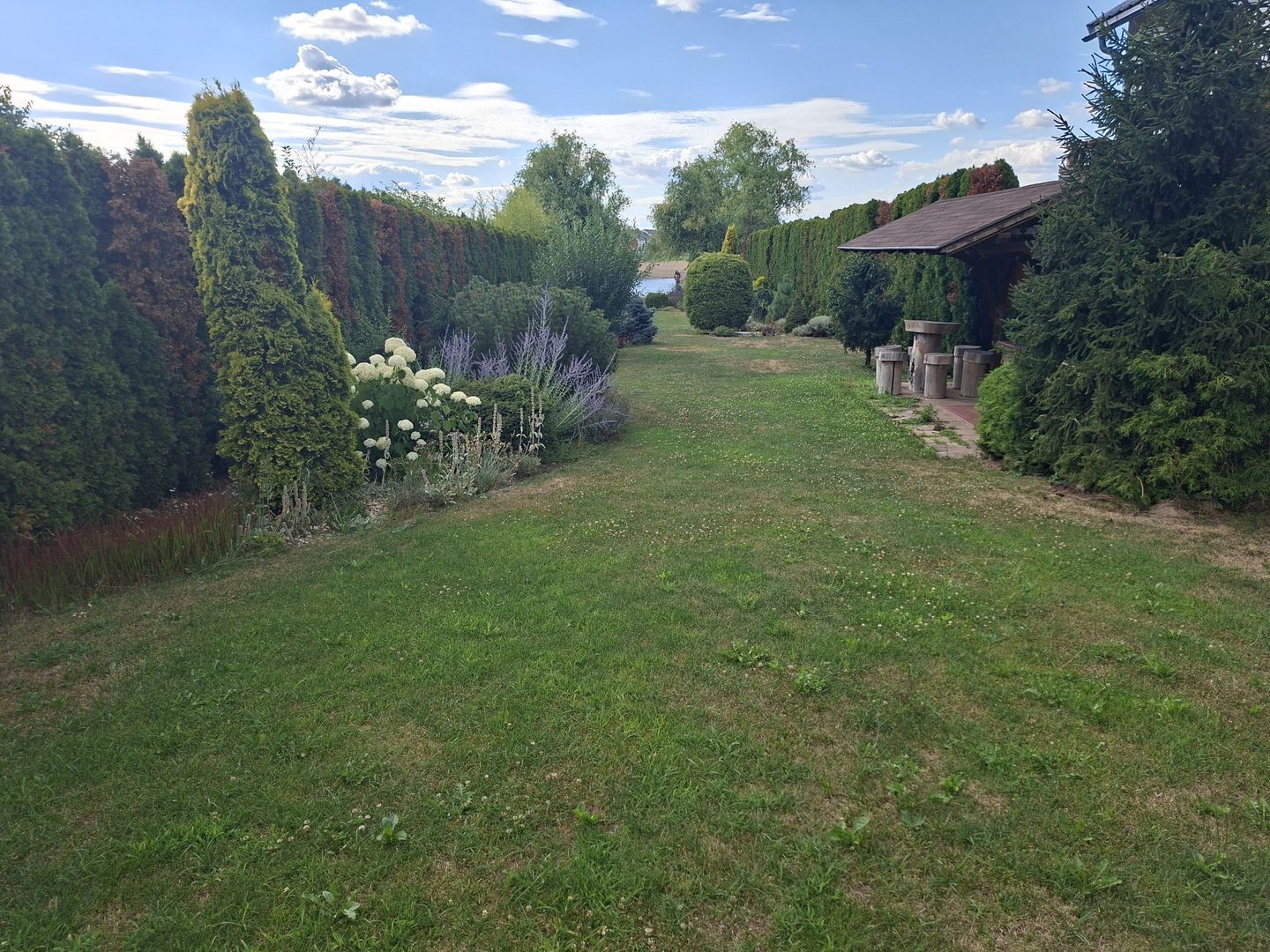 BRASADAS vinde casa cu iesire la lac - Poză 7