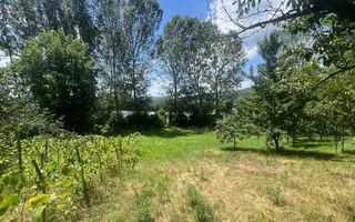 Teren Fedelesoiu/3200 mp/Intravilan - Poză 2