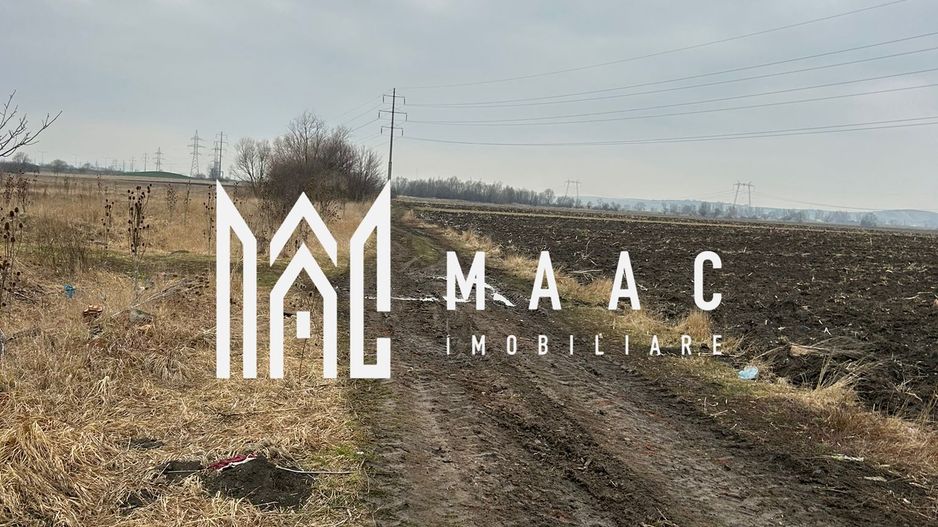 Teren intravilan I 300mp I Gusterita - Poză 12