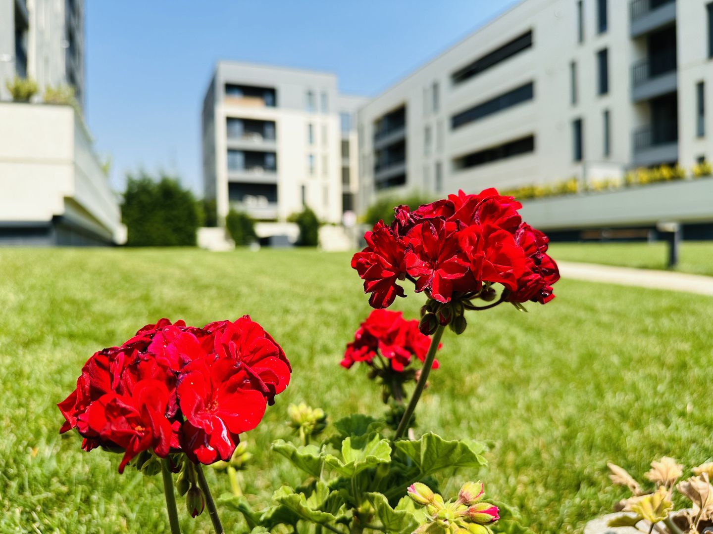 Oferta rezervata | 2 camere,  57 mp | Parcare Subterana & Terasa - Poză 28