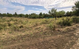 Teren intravilan 2170 mp la drum asfaltat - Chicerea - Poză 2