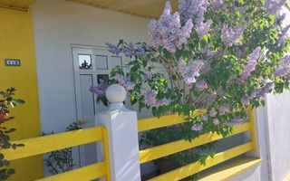 Vila cu ponton la lacul Snagov - Poză 8