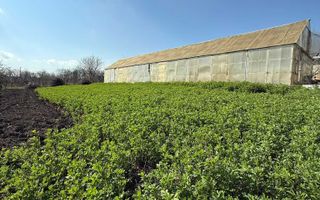 Teren de vânzare cu seră și vie în com. Belcești, jud. Iași - Poză 6