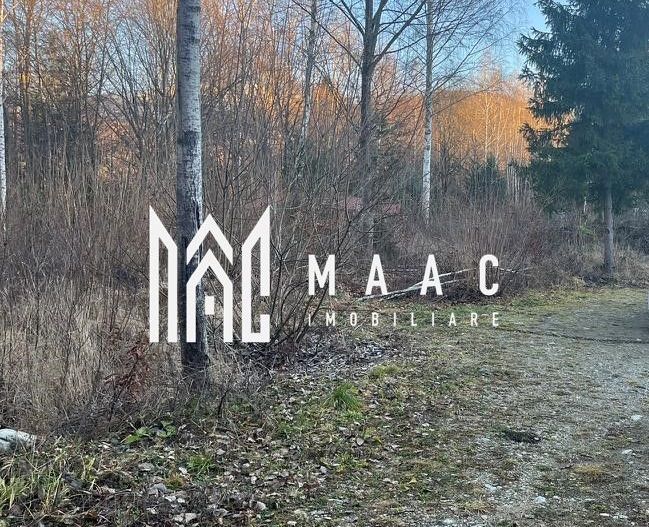 Teren 744 mp I Intravilan I Valea Avrigului - Poză 2