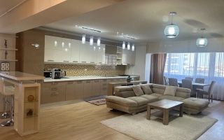 Apartament  Herastrau // Daniel Danielopolu - Poză 1