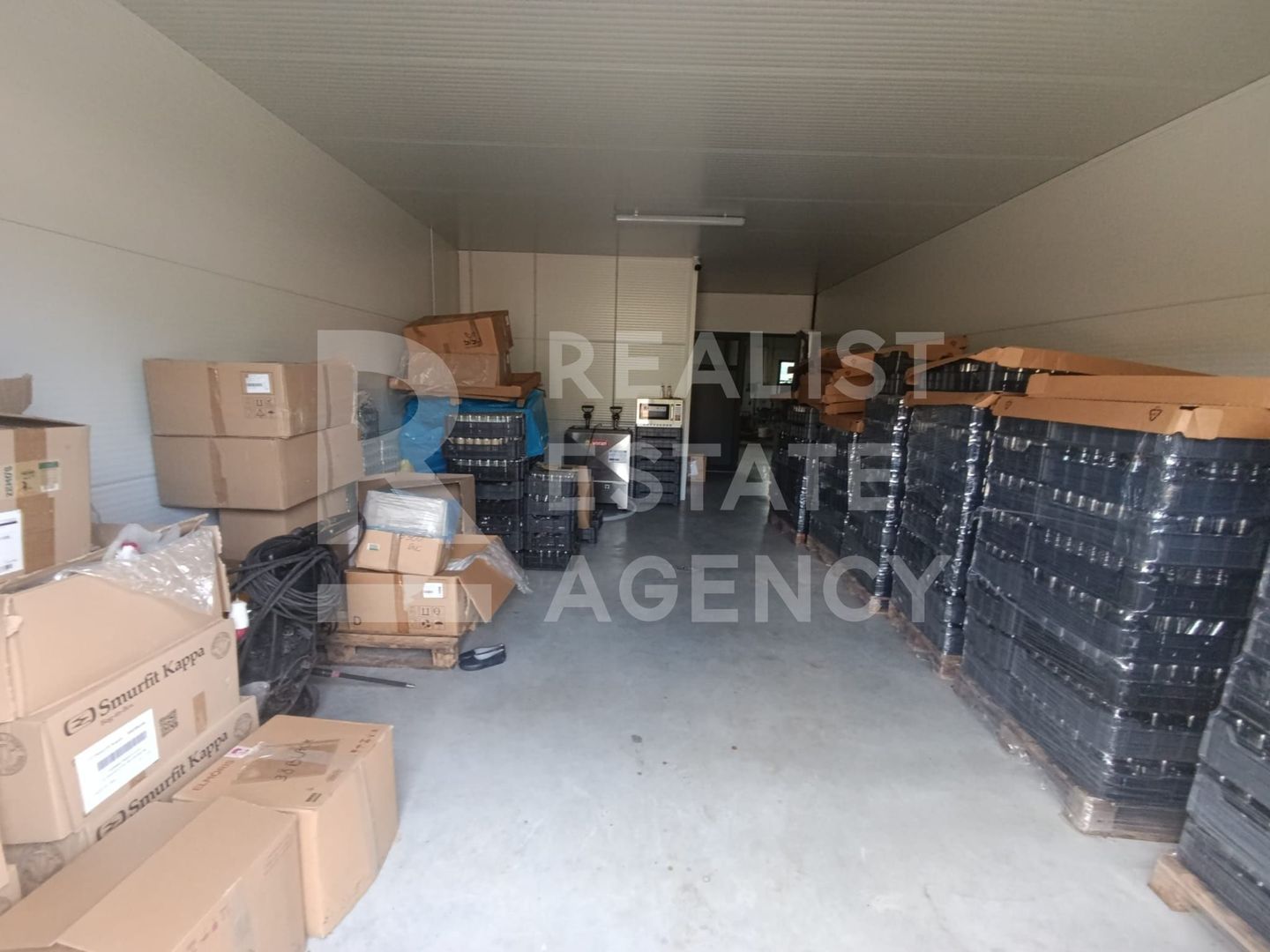 Spațiu comercial, producere+plantație de aronie, Timiș - Poză 10