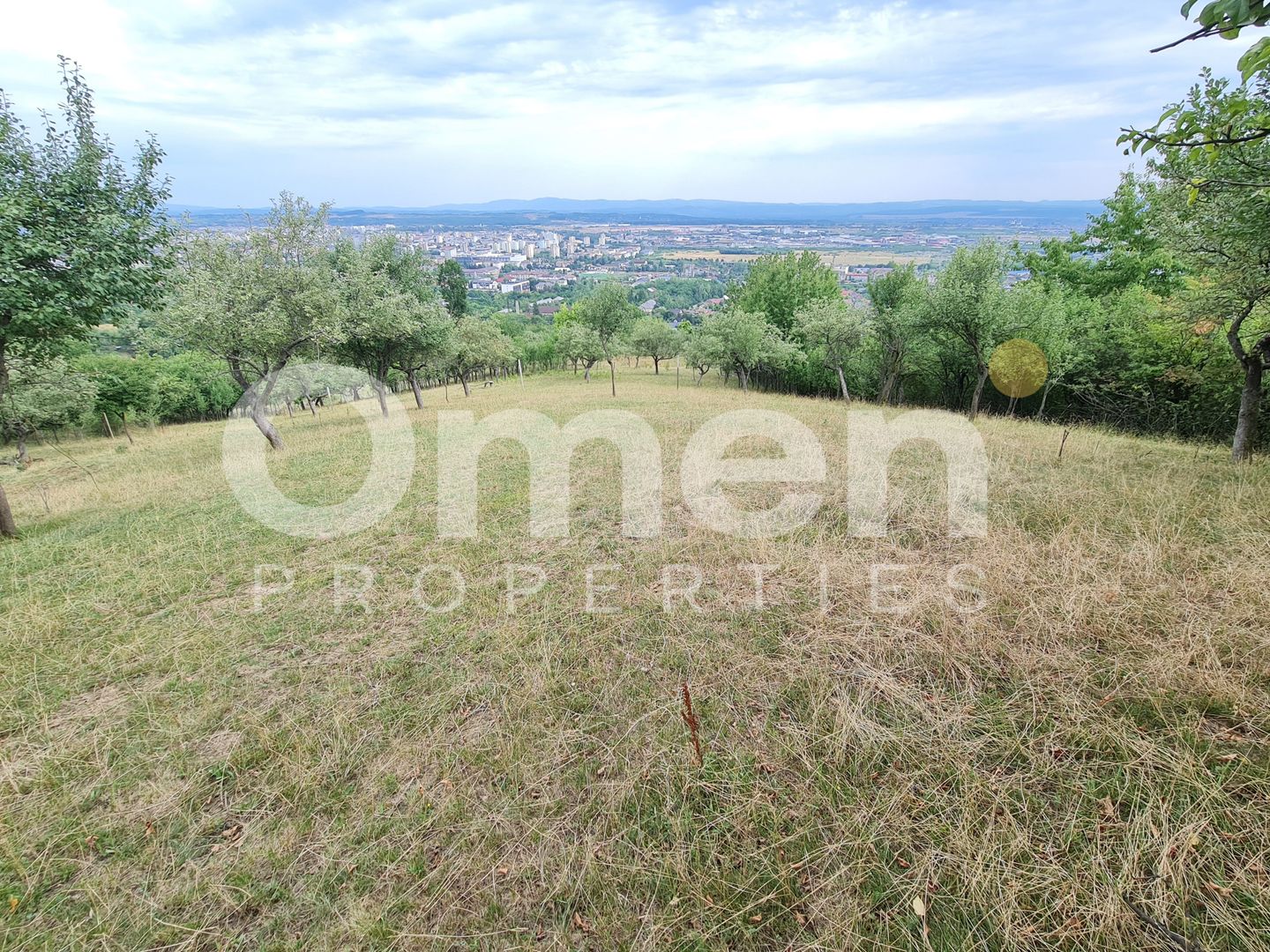 Teren de vânzare | Suprafață 10.040 mp | 2.500 € / ar | Strada Nucului - Poză 1